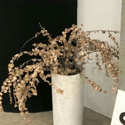 防城福瑞交流群